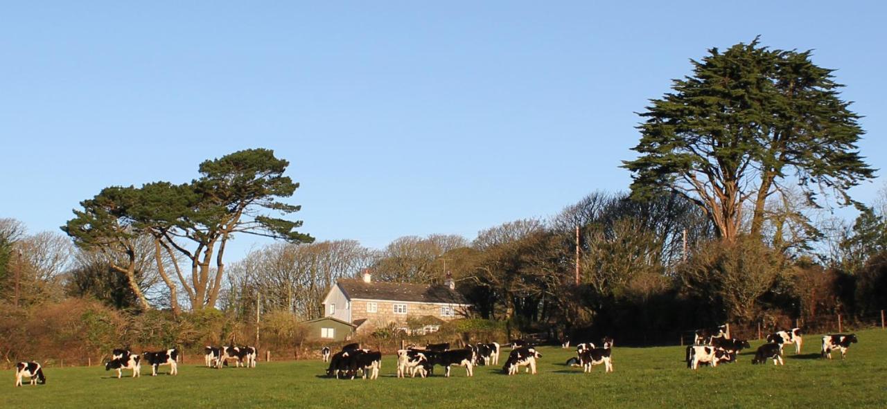 Coombe Farmhouse Panzió St Ives Kültér fotó