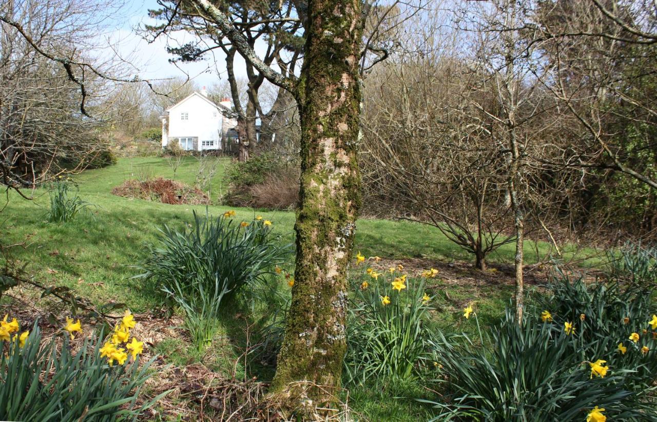 Coombe Farmhouse Panzió St Ives Kültér fotó